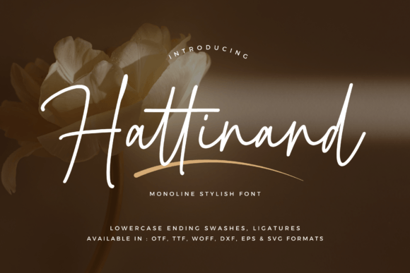Hattinand: Crafting Elegance in Every Letterform