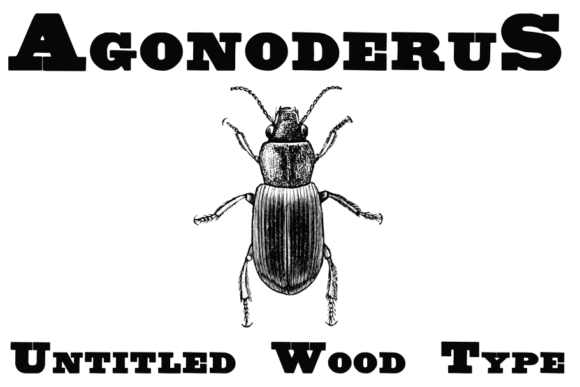 Unlocking History: The Power of Untitled Wood Type